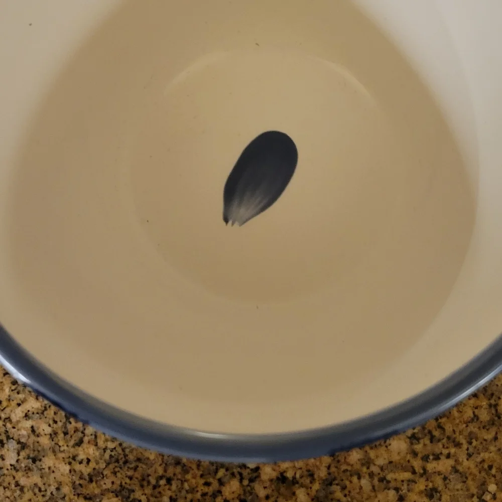 Pottery Barn Tiburon bowl